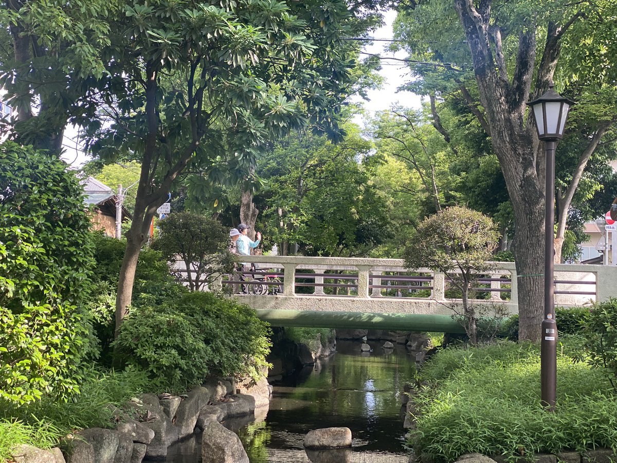 For all the walkers out there, the Shin koiwa path along the stream and the Komatsugawa sakaigawa river side park is another fabulous walk. 
The silence.gentle sound of the stream, n the bright green of the young leaves … Go and enjoy the peace! 
#OffbeatTokyo#TallGirlinJapan