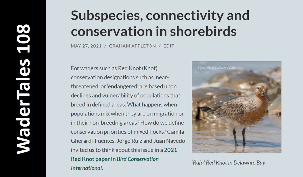 Conserving species, subspecies or populations of #shorebirds, with a focus on Red Knot. wadertales.wordpress.com/2021/05/27/sub… Blog from 27 May 2021 🎂3⃣ Paper by @camilgherardi in @bci_journal #waders #ornithology