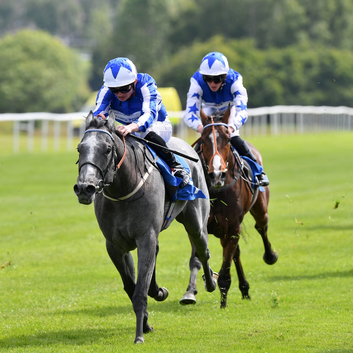 Ahead of today's raceday in Oadby, get a lowdown on the runners and riders for King Power Racing 🐎 You can still join us by using the discount code KING24 via the link below! 👉 bit.ly/3yxlD4J