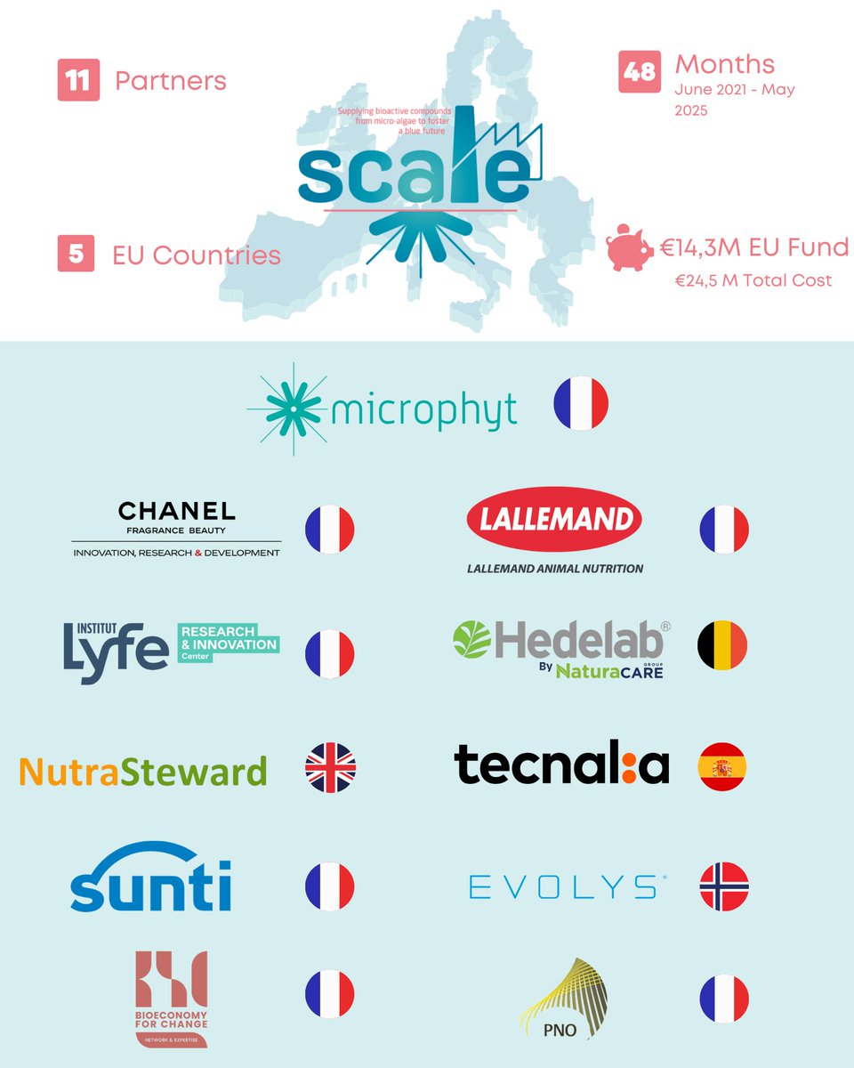 🎉 May is Europe Month!

💡 Our project is a perfect example of how working together and sharing knowledge can bring science and bioeconomy forward. Our team is made up of companies and experts from 5 different countries and backgrounds, all working towards a common goal.

#EUday