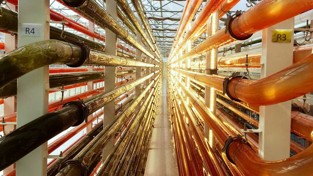 ➡️ Have you seen CBE JU's latest video on the winners of the CBE Impact photo competition featuring the SCALE project?

🏆 SCALE won the « Biobased production processes » category with a picture of the CAMARGUE photobioreactor technology developed and patented by Microphyt.