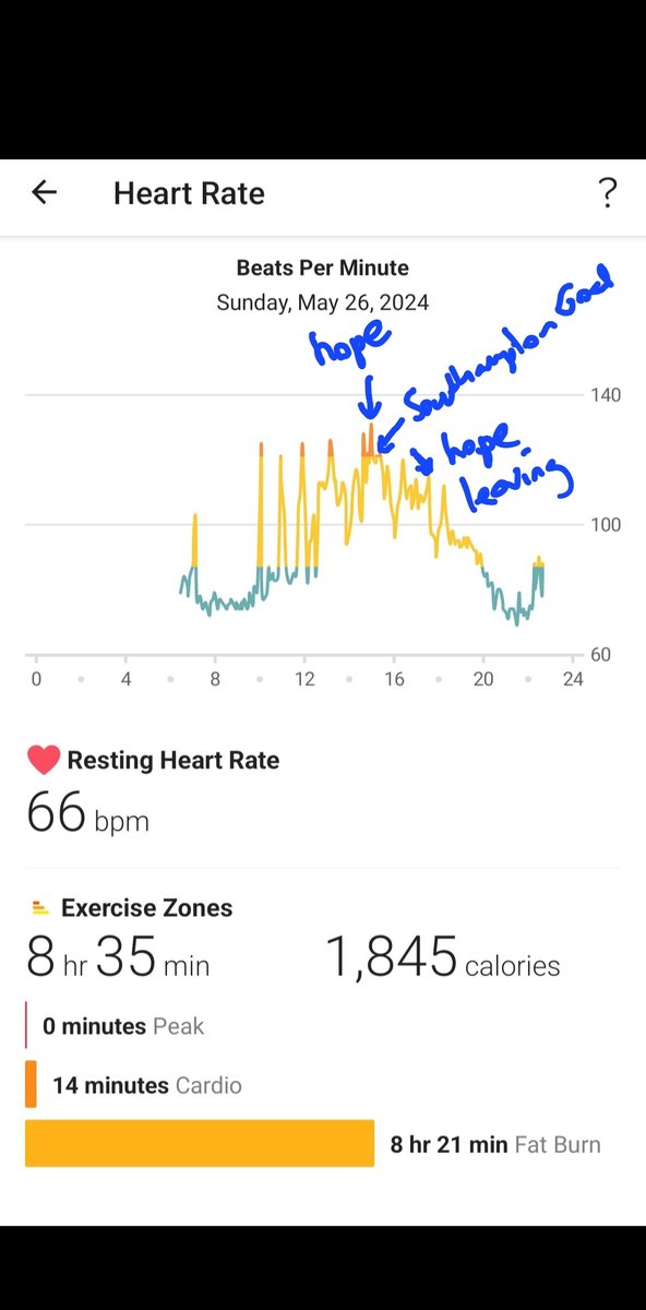 My heartrate yesterday during the daytrip to Wembley. Upside = think of the fat burn 😂.  I think my heartrate hitting 131 might have been the bit when I wanted to go hide in the loo because it was all too much.  Can tell when they scored by this too 😭. #mot