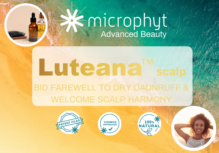 🚨 Discover one of @‌Microphyt’s new cosmetic ingredient : Luteana Scalp ™

🌱 Developed from the Tahitian microalgae Tisochyrisis lutea, Luteana™ is an oil-based bioactive capable of halting the spread of dry dandruff and restoring a healthy scalp.