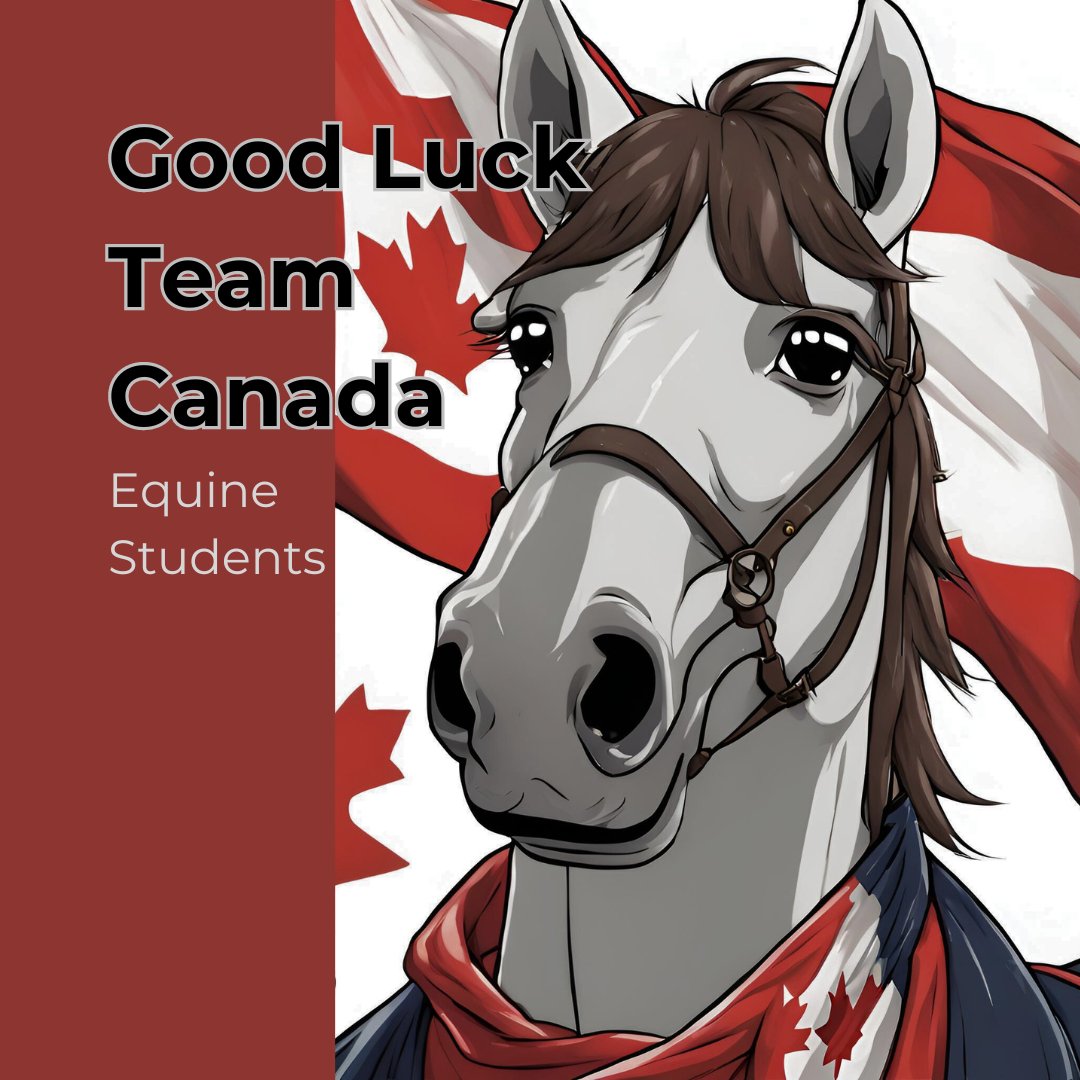 This week, we run our first Ontario-based equine practicum. 12 students will work through the year one content to conclude with a final exam at the end of the ten days. Please wish them the very best of luck. #equineosteopathycanada