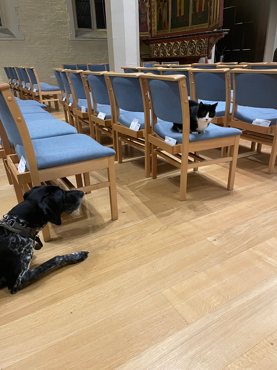 Enjoying a #BankHoliday chat with the Vicar’s dog