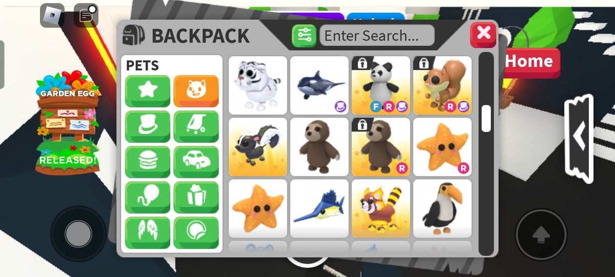 luvsas4_'s tweet photo. @PlayAdoptMe Trading this except the locked one https://t.co/9ZFuWc91XI