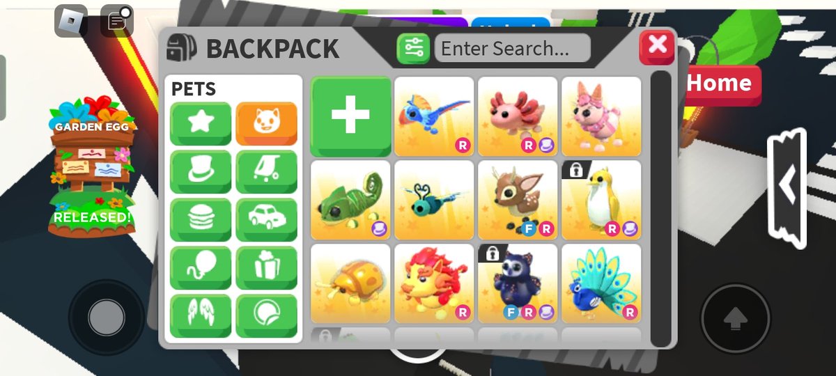 luvsas4_'s tweet photo. @PlayAdoptMe Trading this except the locked one https://t.co/9ZFuWc91XI