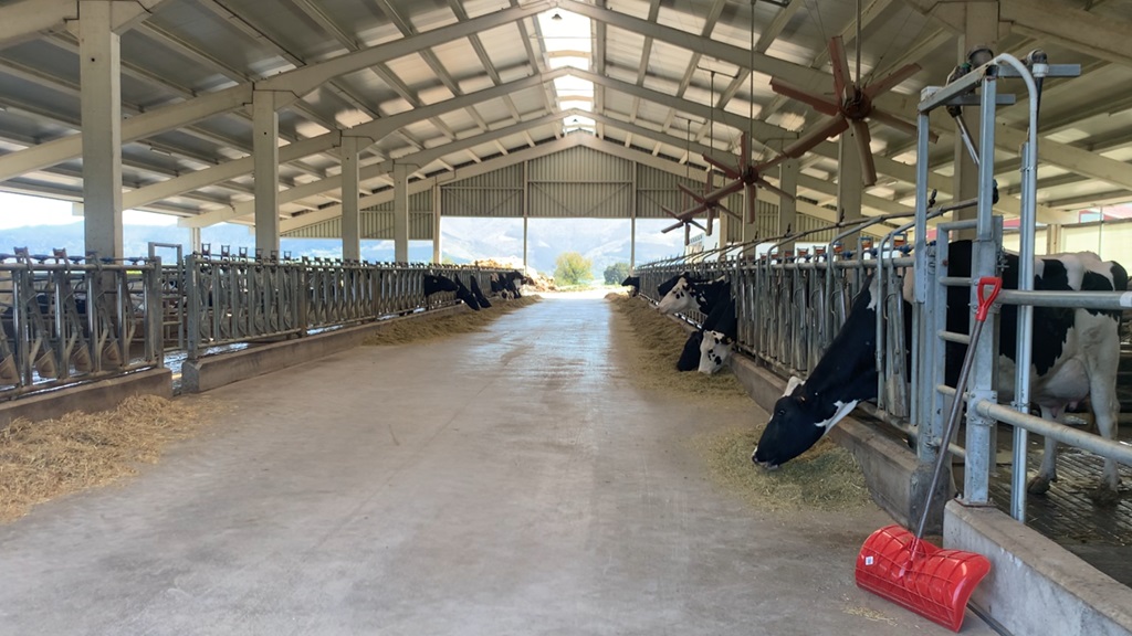 Alice Peucelle (@peucellealice) on Twitter photo Cette semaine, avec <a href="/WebagriFR/">Web-agri.fr</a>, on vous emmène au Pays-basque espagnol🐮
Pour débuter, découvrez un aperçu du paysage laitier espagnol ⬇️
Avec <a href="/InstitutElevage/">Institut de l'élevage - Idele</a> et <a href="/R4_Dairy/">Resilience for Dairy</a>
#Ceuxquifontlelait
web-agri.fr/vaches-laitier… Cette semaine, avec <a href="/WebagriFR/">Web-agri.fr</a>, on vous emmène au Pays-basque espagnol🐮
Pour débuter, découvrez un aperçu du paysage laitier espagnol ⬇️
Avec <a href="/InstitutElevage/">Institut de l'élevage - Idele</a> et <a href="/R4_Dairy/">Resilience for Dairy</a>
#Ceuxquifontlelait
web-agri.fr/vaches-laitier…