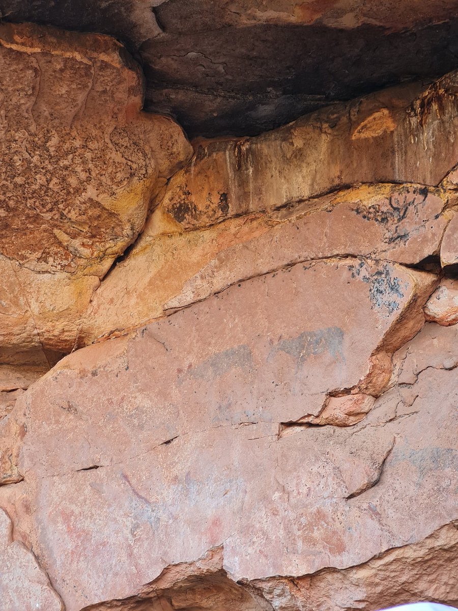 HoniballT's tweet image. Amazing to explore to displays of history nestled in the hills of Mapungubwe