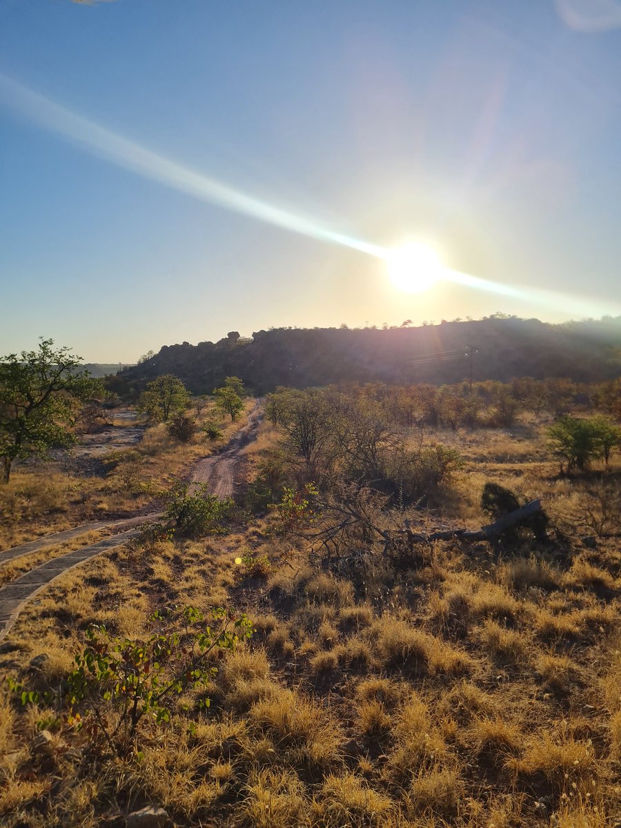 HoniballT's tweet image. Amazing to explore to displays of history nestled in the hills of Mapungubwe