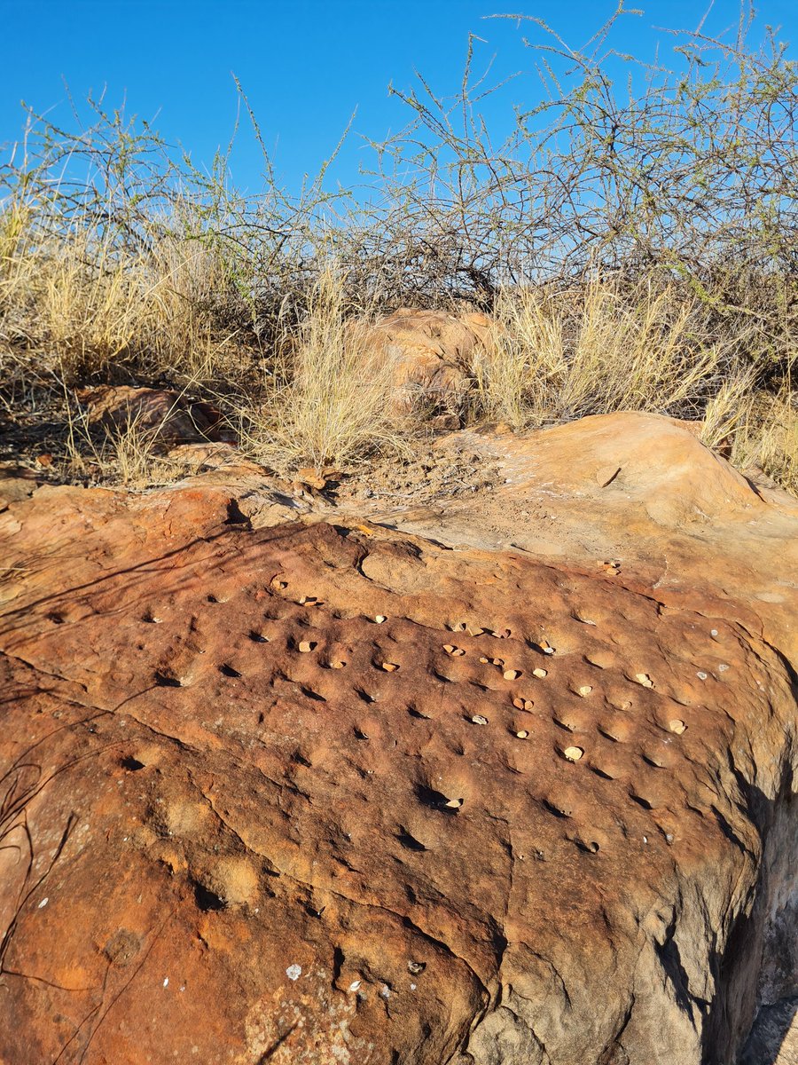 HoniballT's tweet image. Amazing to explore to displays of history nestled in the hills of Mapungubwe