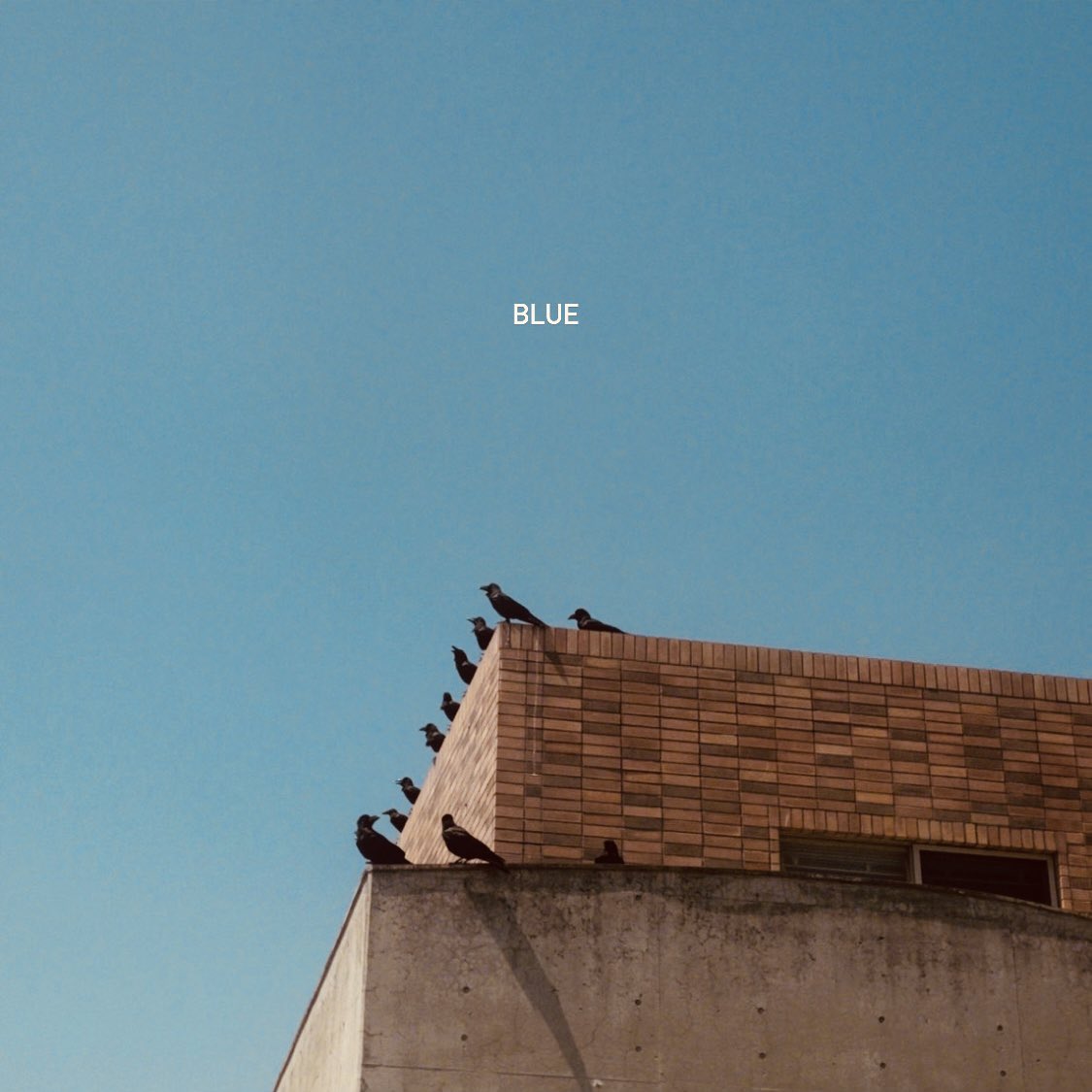 tomodachiHaku's tweet photo. 【💿リリース情報💿】
友達博物館 1st EP
”BLUE” 
2024年5月27日より各種サブスクリプションサービスで配信開始🔥

〈収録曲〉
M1.Remember
M2.ティーンエイジ
M3.Yellow
M4.Goodbye
M5.EVER BLUE

Rec:ニシムラヒロサト(@mozomozo719 )

CD版は6月より会場にて販売します！ https://t.co/ofpCZsTjRs
