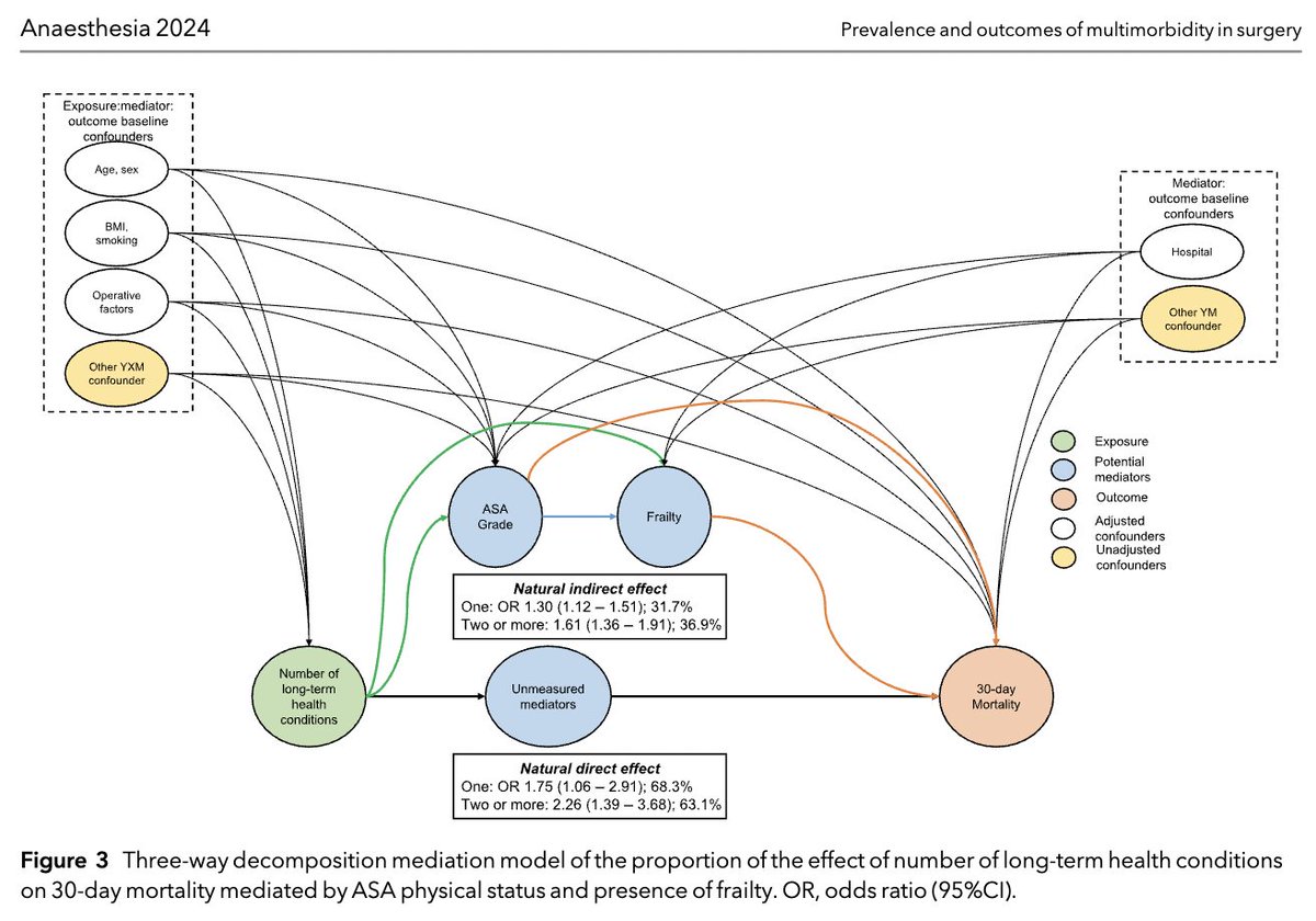 🔥And the paper is live!🔥

🔓Association between multimorbidity and postoperative mortality in patients undergoing major surgery: a prospective study in 29 countries across Europe

<a href="/Sivesh93/">Sivesh K Kamarajah</a> <a href="/STARSurgUK/">STARSurg</a> <a href="/EuroSurg/">EuroSurg Students</a> <a href="/JKDhesi/">Jugdeep Dhesi</a> <a href="/elboghdadly/">Kariem</a> 

🔗…-publications.onlinelibrary.wiley.com/doi/10.1111/an…