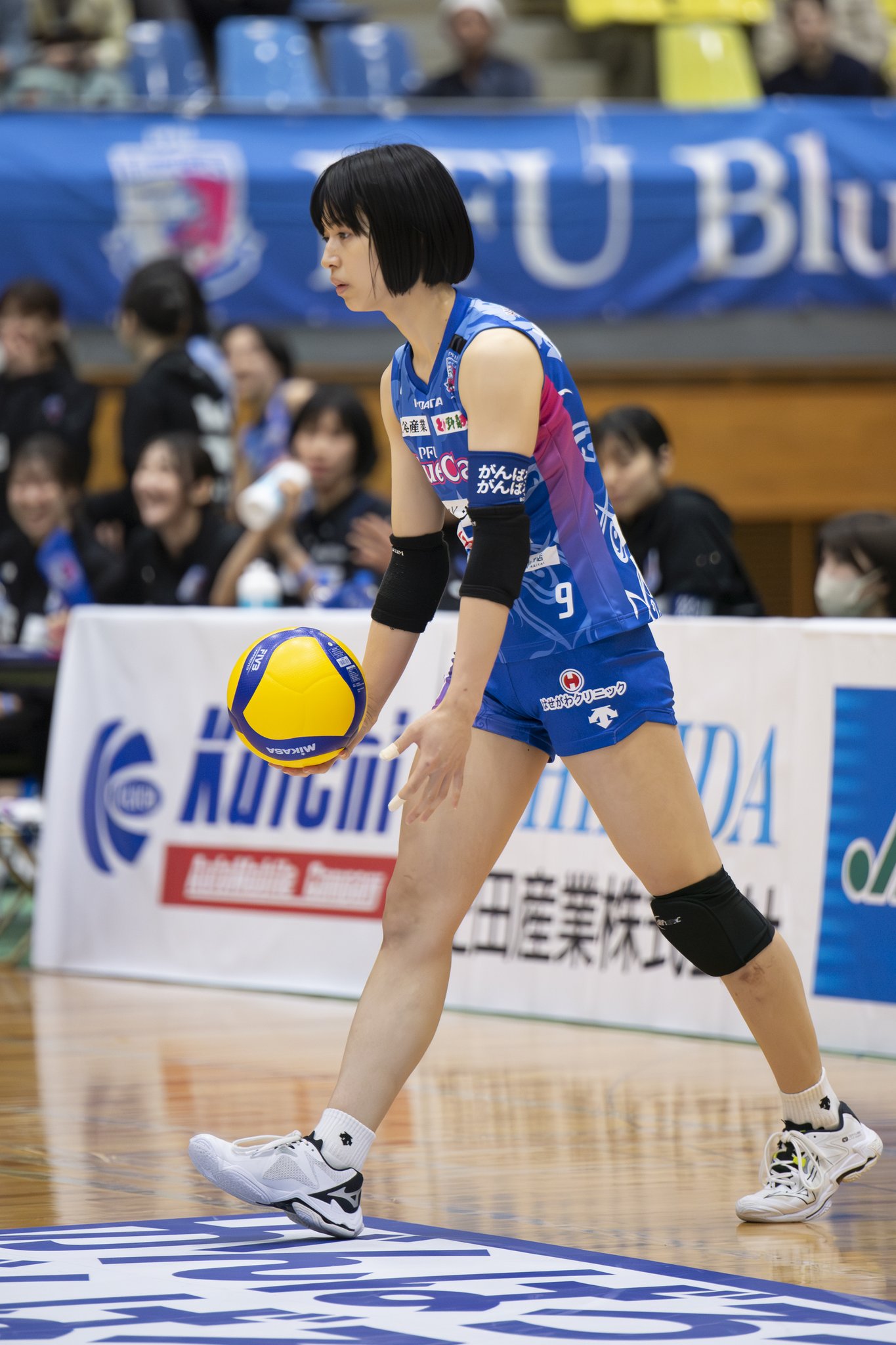 pfUブルーキャッツ　応援セット　バレーボール　Vリーグ　山下遥香 しーすー(バレーボール)📷 on X: 