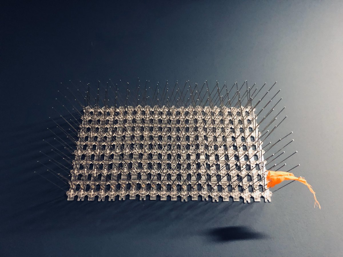 woundbloom's tweet image. Recent wall based sculpture.
Bird spikes and a shard of turban
#wallbasedsculptures #worshiptech