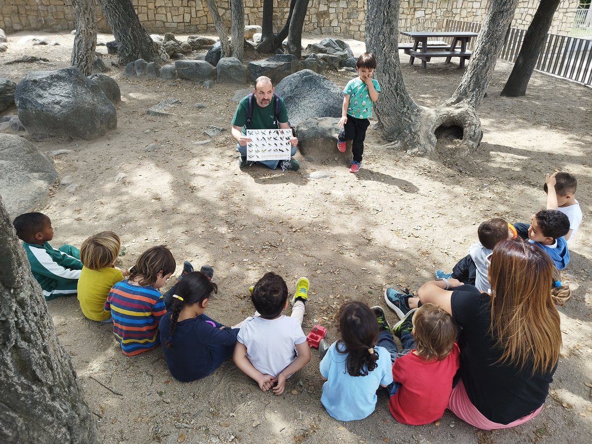Jordisaca21's tweet photo. Els petits exploradors de l'Institut Escola Montseny molt atents per saber més coses dels #mussols i dels #ocells a l'escola. Moltes gràcies @AlexMascarell https://t.co/6Q2Qj7C8sJ