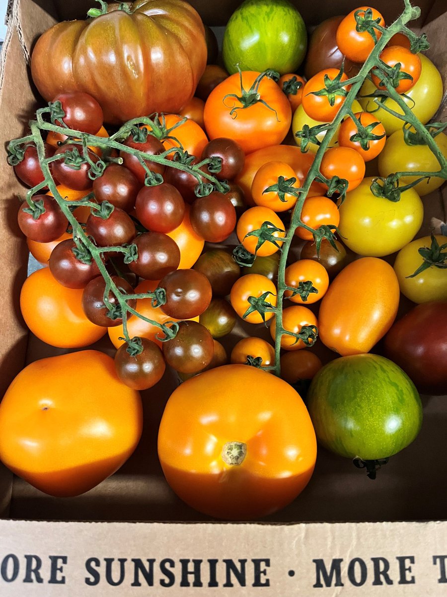 It’s British Tomato Fortnight! 🍅

Support UK farmers and enjoy the taste of British tomatoes. Place your order today on 01380 860968🍅