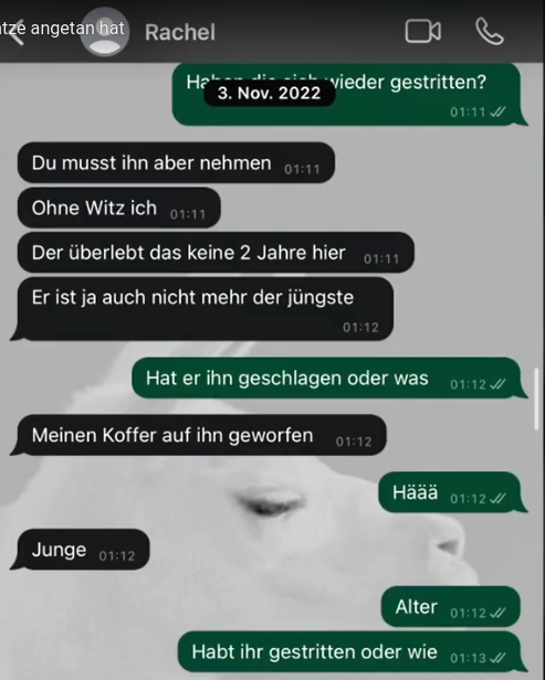 'Es ist mein Haustier. ich liebe es wie meinen Sohn. [...] Freundin X, du musst das Haustier nehmen, der überlebt hier keine 2 Jahre, es fliegen Koffer. (Trennen werde ich mich aber nicht.)'
#unge