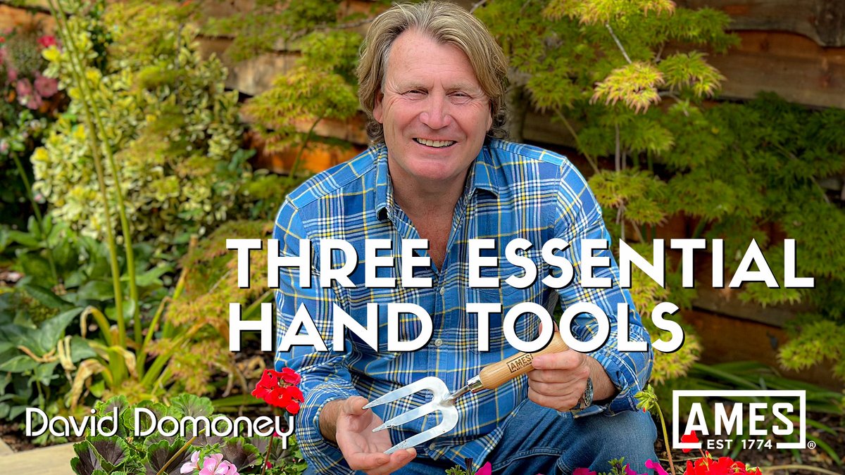 #ad For every gardener, certain tools are essential. I've selected three of the AMES hand tools that I think every gardener should have in the tool shed, greenhouse, or garage. 👉 bit.ly/3vTmbR7 #paidpartnership #gardening #garden