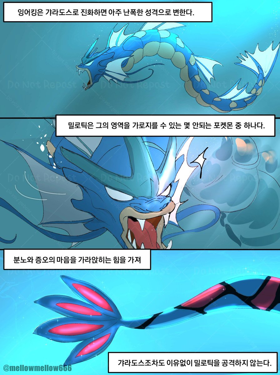 mellowmellow666's tweet photo. 밀로틱과 갸라도스 재업 https://t.co/ma4Oyuji29