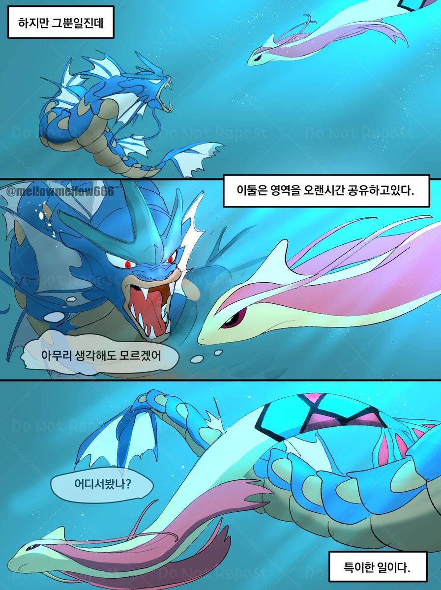 mellowmellow666's tweet photo. 밀로틱과 갸라도스 재업 https://t.co/ma4Oyuji29