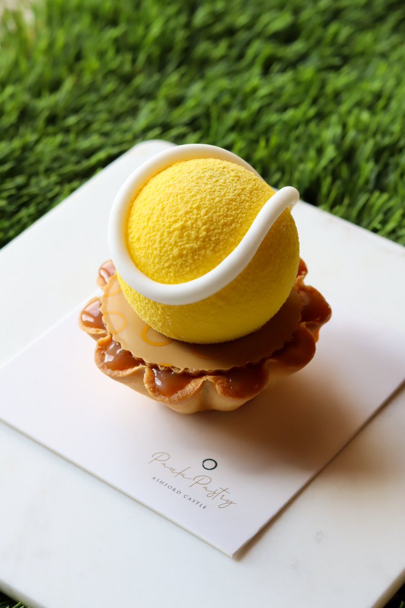 paula stakelum tweet media