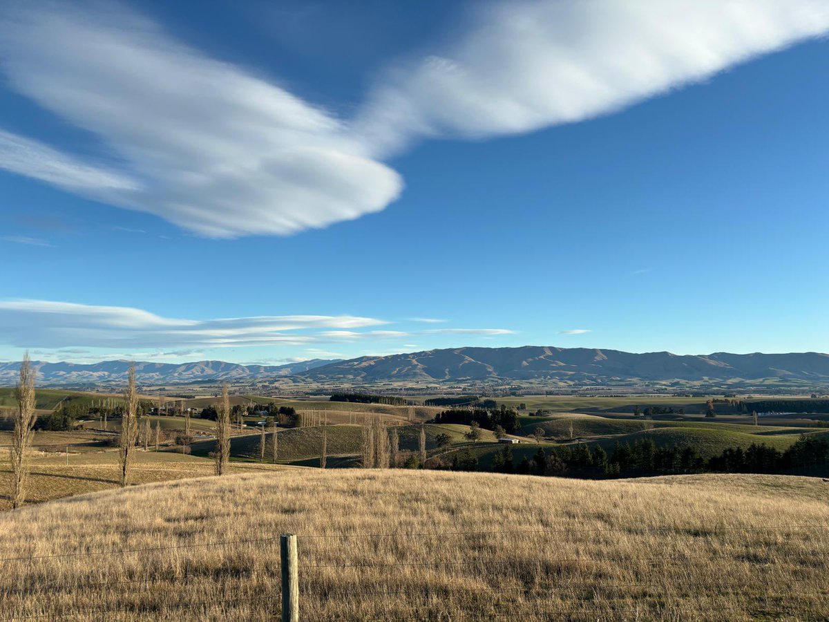Views near fairlie in S. Canterbury today. 🌱Some greenness coming back into these hills compared to when I passed a few weeks back! NZ had a drought this year which has winter forage crop yields back massively. Adverse weather causing issues both here and at home☘️
