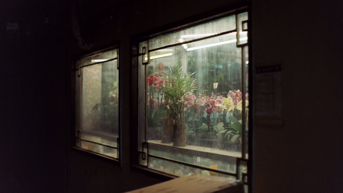 First roll of some expired Kodak Vision 2 50d film