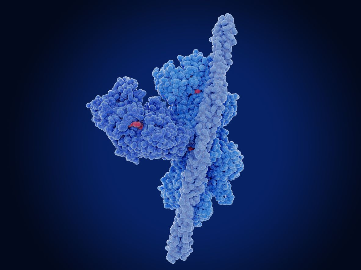 Tropomyosins are crucial cellular proteins, but imaging them can be difficult 🔬❌

In a study led by <a href="/SPOREMOHAN/">MohanBalasubramanian</a> (<a href="/uniofwarwick/">University of Warwick</a>), researchers used our hTERT-RPE1 #Cells to develop ways to image these important proteins — read on at <a href="/J_Cell_Sci/">J Cell Science</a>: buff.ly/4bIGkcs