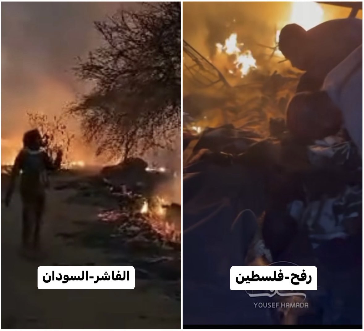 يا من تتوقع الرد من الجيوش العربية، غالبا حيطلع لك فيديو
"صوت صفير البلبلِ"
#الفاشر 🇸🇩
#رفح 🇵🇸