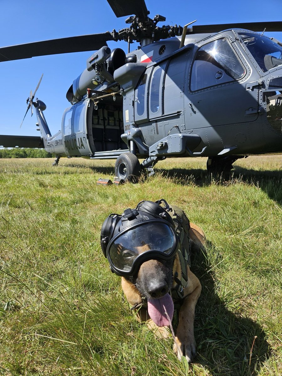 📸 dominx97 #k9 #k9unit #k9helmet #police #blackhawk