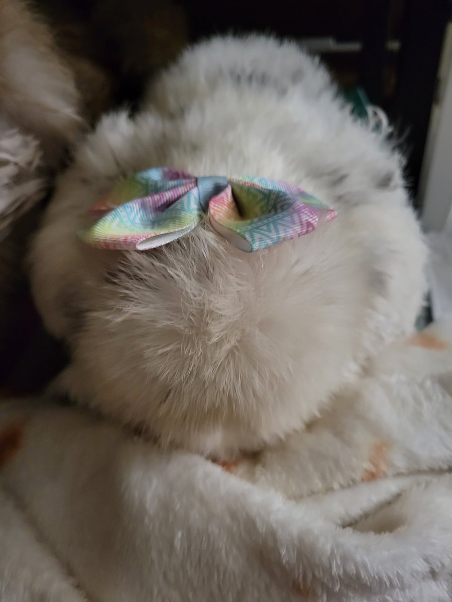 Suzy 🐓 tweet media