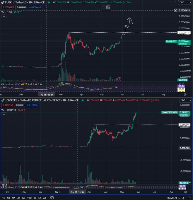 预测 2018 年比特币价格触底的分析师表示，FLOKI 即将达到“逃逸速度”——以下是他的目标插图1