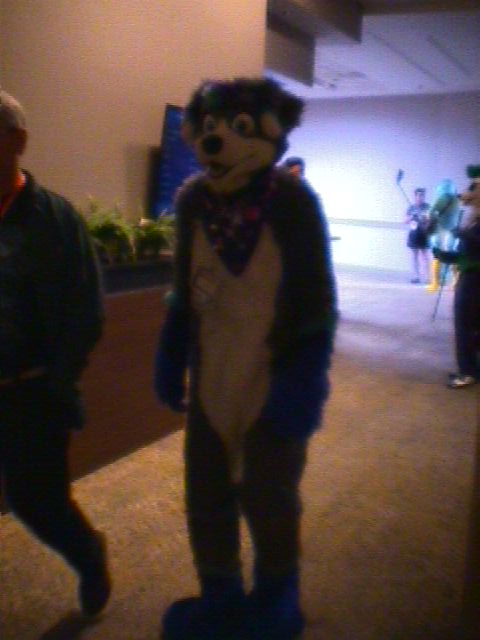 BlueCheeseWedge's tweet photo. Really love this curse pic of @TaebynPup. Looks like I startled him when I snapped this. https://t.co/dprx7sQVy0