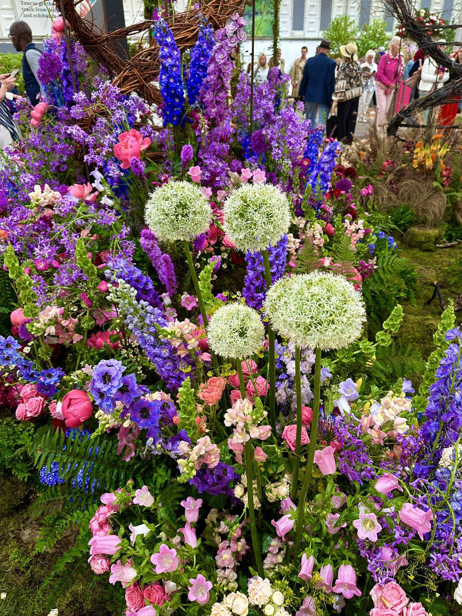 More gorgeousness from the Chelsea flower show on this bank holiday Monday 🌿🌸💜🤍💙🩷🌿 Wishing you all a lovely day 😀 #flowers #gardening @The_RHS #RHSChelsea #ChelseaFlowerShow