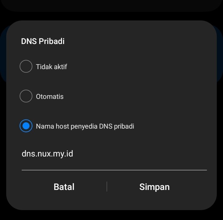 Hasil dari laporan domain Phising

Saya ubah jadi DNS server, sehingga web Phising tidak dapat diakses 

Buat pengguna Android bisa dicoba dengan pasang Private DNS di Androidnya