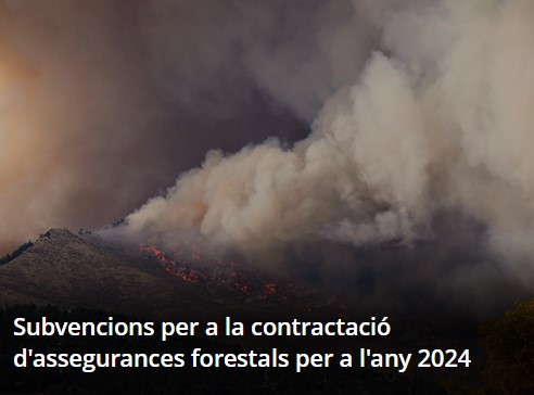 ‼️ Obert el termini per a sol·licitar els #ajuts a la contractació d'assegurances #forestals ‼️ Presentació de sol·licituds fins al 31 de juliol de 2024 📝 i.mtr.cool/ddevvlexhg Totes les ínies d'ajuts obertes: i.mtr.cool/vygdfmjoaz