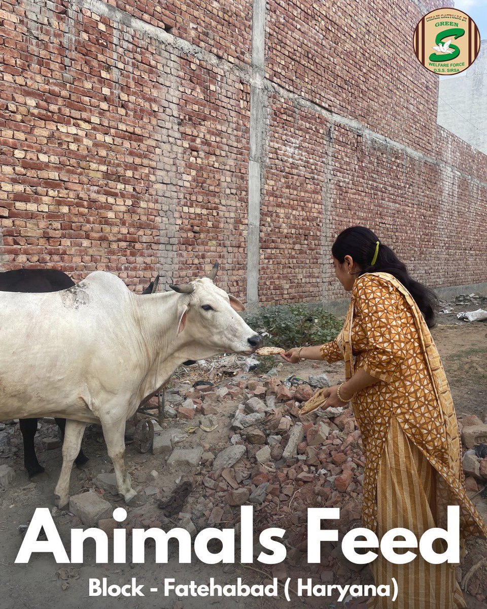 Summer is tough on everyone, including birds and animals, causing hydration and feed scarcity. Shah Satnam Ji Green ’S’ Welfare Force Wing Volunteers in Fatehabad, Haryana, stepped up by arranging green feed and water for stray animals. A wonderful act of kindness! #AnimalWelfare