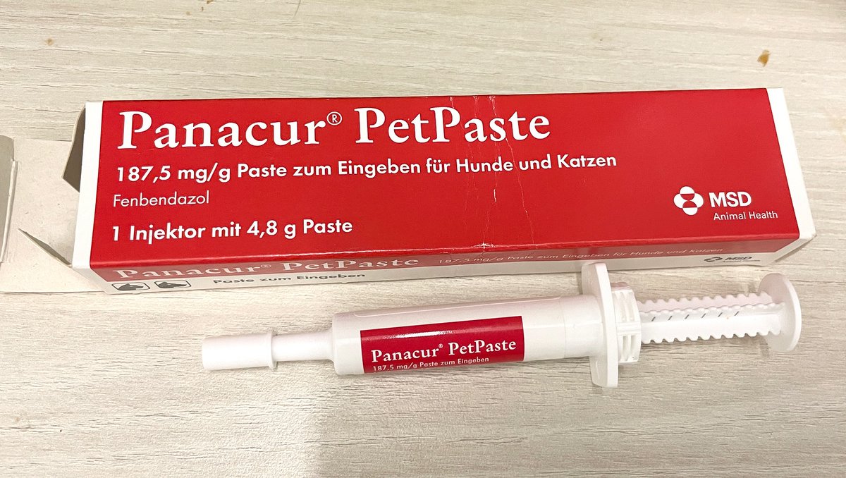 Wir benötigen Panacur-Paste zur Entwurmung unserer Kitten. Wir haben jetzt drei Pflegestellen mit Mamas. 
Wer kann uns helfen? Unsere Praxen bekommen es nicht geliefert zur Zeit. 

Bitte meldet euch, wenn ihr noch eine Packung im Schrank habt, die ihr abgeben könnt.🙏🙏🙏