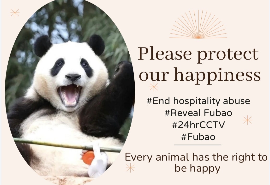 SyejiJ9's tweet photo. 푸바오지켜달라했더니
#SaveFubao 
공주대접해준다더니
#Fubao 
돌아오는건이게뭐냐고
#福宝 
사람이라면생각이있다면
#panda 
뱉은말은지키셔야지요
#푸바오
설마모를거라고생각했나
#접객금지 
당장푸바오24시간CCTV공개
#빠른공개
확실히해라너네말못믿는다
 #24hrcctv https://t.co/SVr2S76yI7