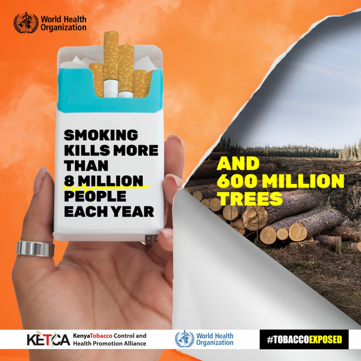 Every puff takes a toll. Tobacco claims over 8 million lives annually , leaving devastation in its wake. But let's not overlook another casualty—our forests. . It's time to raise awareness and take action. #StopSmoking  #HealthOverHabit #TobaccoAwareness #WorldNoTobaccoDay2024