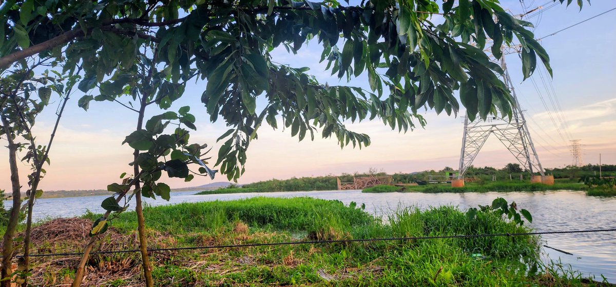 beloved_nim's tweet image. The caterpillar can only form its chrysalis when it stays still. The butterfly is only born after slow moments. Feeling stuck or stagnant can be the precursor for incredible change. #lessonsfromNature 🦋🦋