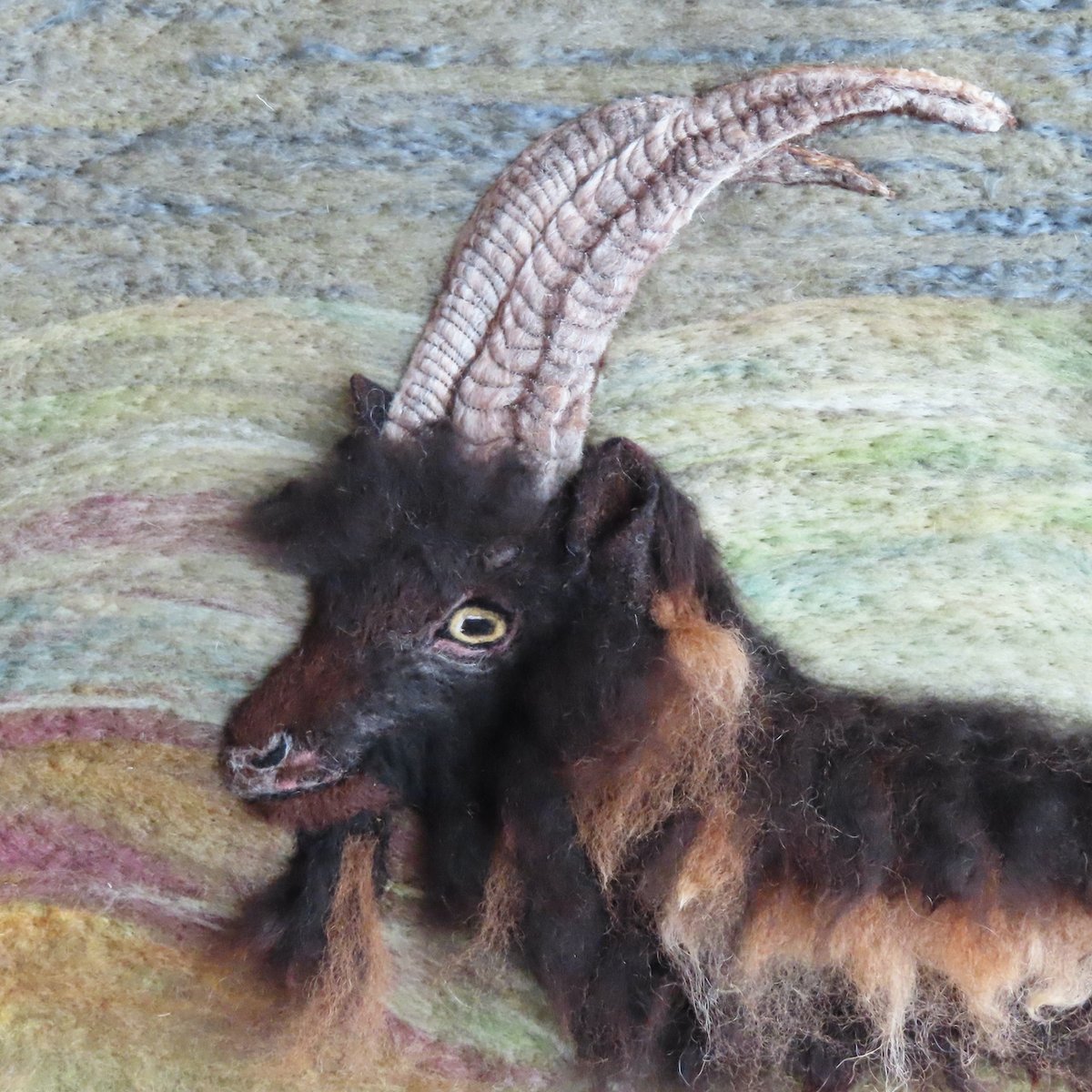 This #bagotgoat was photographed at the @RBSTrarebreeds show and sale at #meltonmowbraymarket and needle felted with locally sourced wool and alpaca fibres.#lakedistrictartist #britishnativebreeds #madeincumbria
