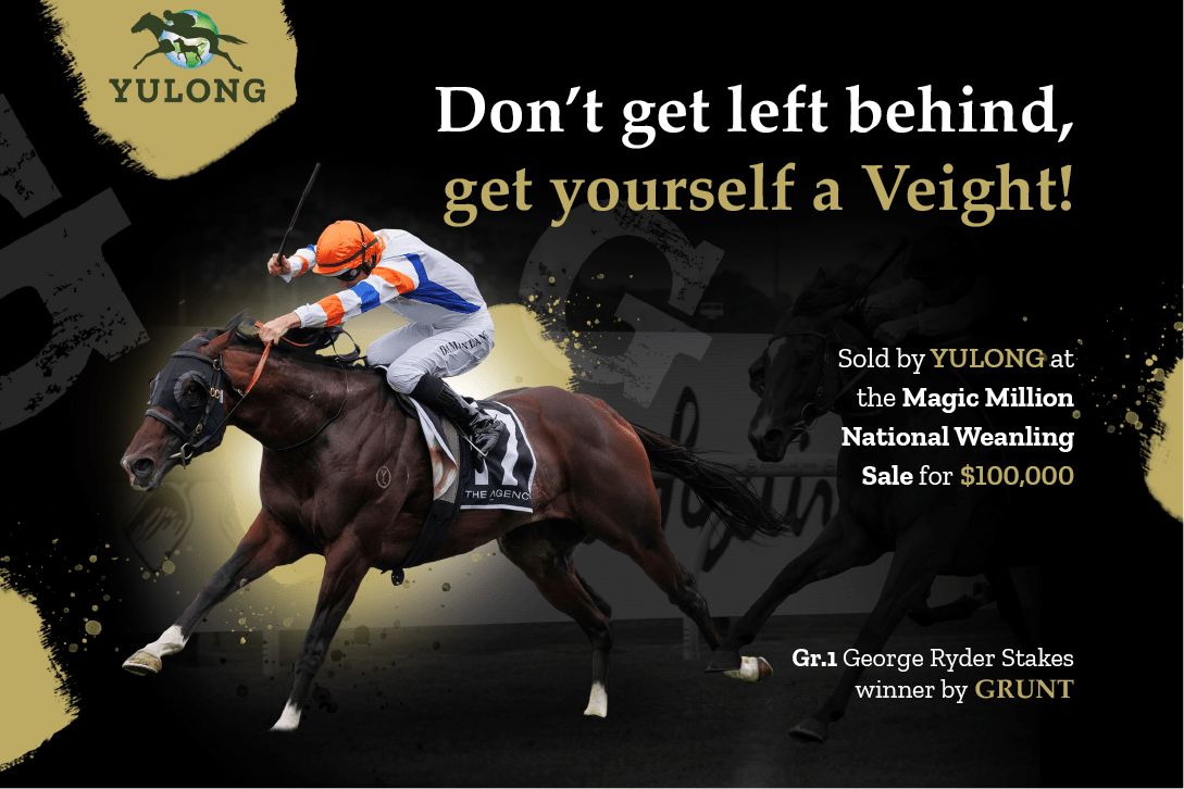 Don't get left behind, get yourself a Veight 🏎 Sold by @YulongInvest at the @mmsnippets National Weanling sale for $100k 👑
