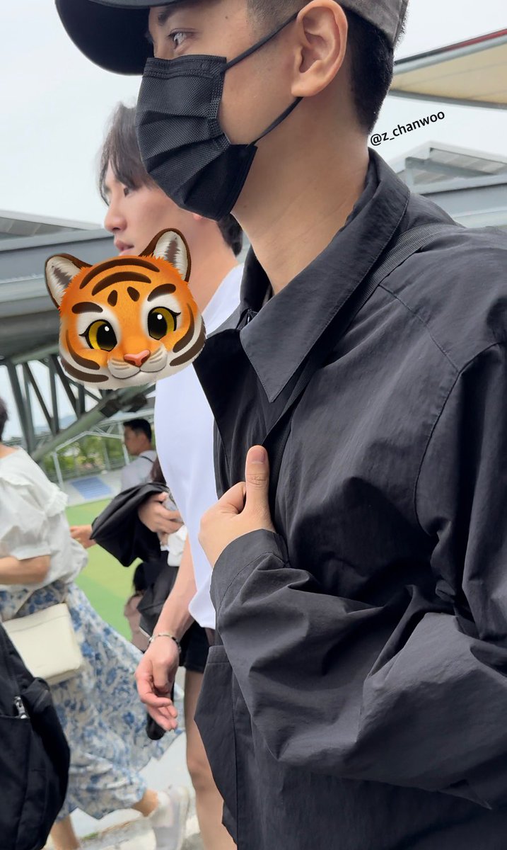 🐯 tweet media
