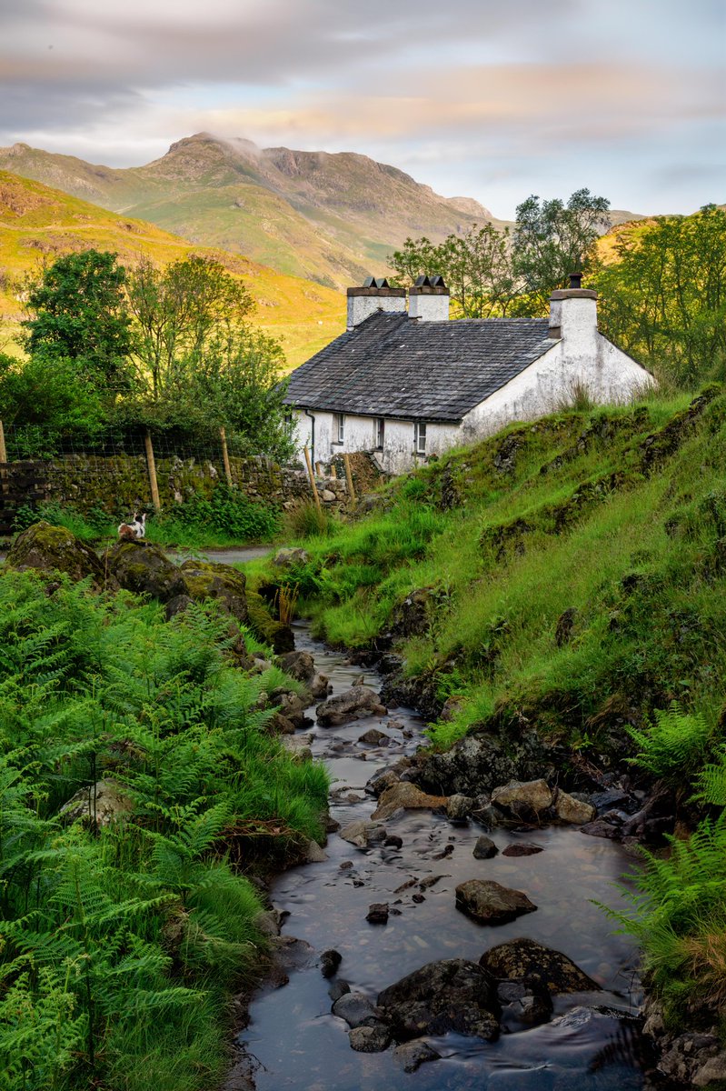 Morning everyone hope you are well. Certainly a wet start to the day in the Lakes, must be a Bank Holiday! The beautiful Blea Tarn House in the Langdales. Even the cat is admiring the view (if you can spot it). Have a great day. #LakeDistrict @keswickbootco