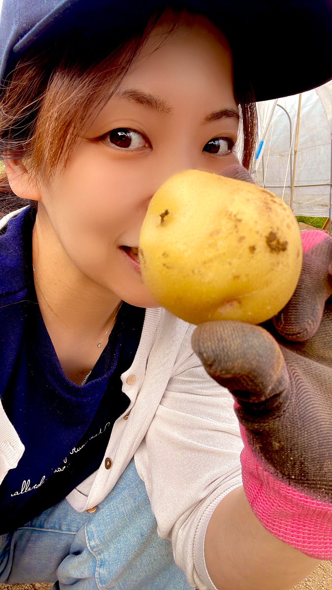 harunyan0034's tweet photo. 5/27(月)③審査対no.247
本日1.1倍❤️‍🔥明日1.2倍❤️‍🔥倍率です🌼*･

実家に帰った時に人生初めてのじゃがいも掘りました🥔宝探しみたいで楽しかった🤣
『キタアカリ』っていうじゃがいもらしい🤔🥔
完全すっぴんごめんなさい🤣

#MissBouquet
#ミクチャ
#KURAUDIA
#アルファブランカ https://t.co/0tPUDb7te4