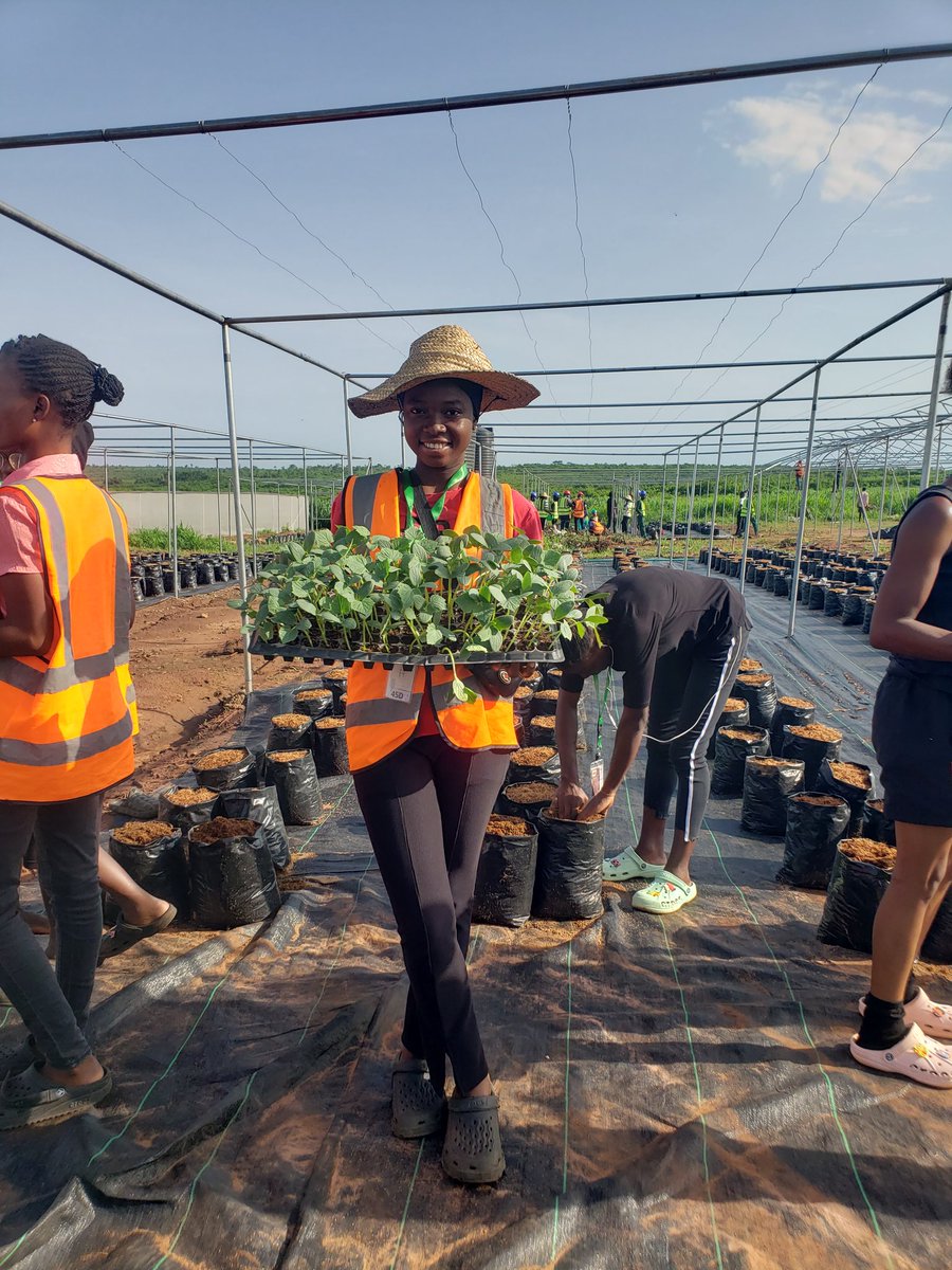 Another week to remind y'all #agricbusiness isn't just about farming - it's about creating a healthier and a more sustainable future for everyone 🌍 
@sFarmLab 
#EYiAElite #zerofoodhunger #womeninagriculture #newweek