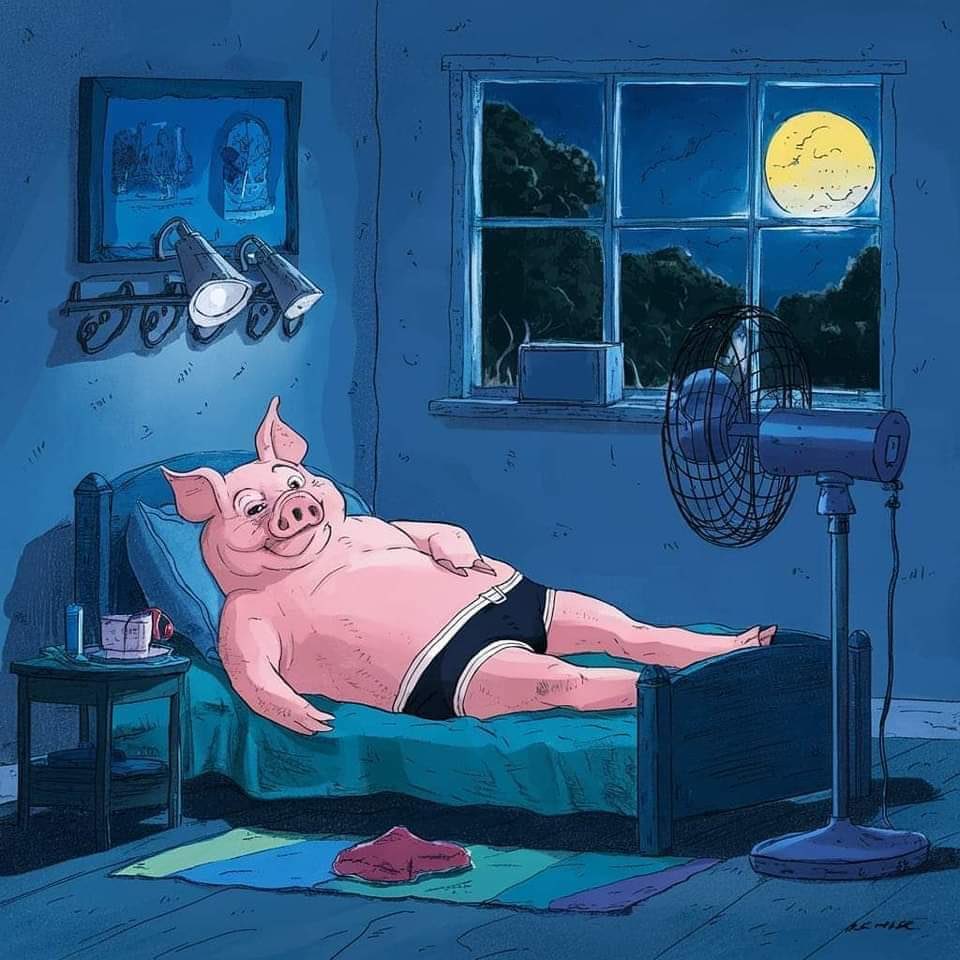 A mimir #oink