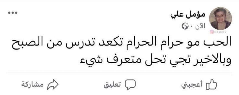 منصور tweet media